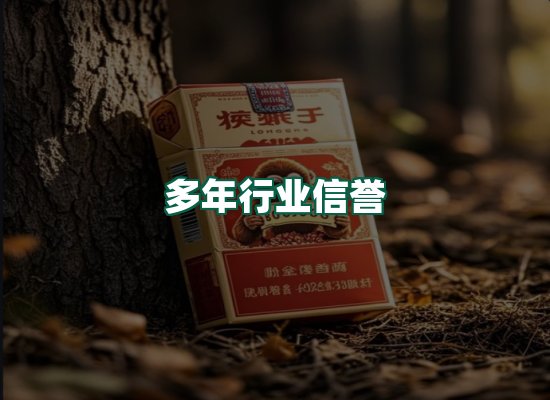核心优势